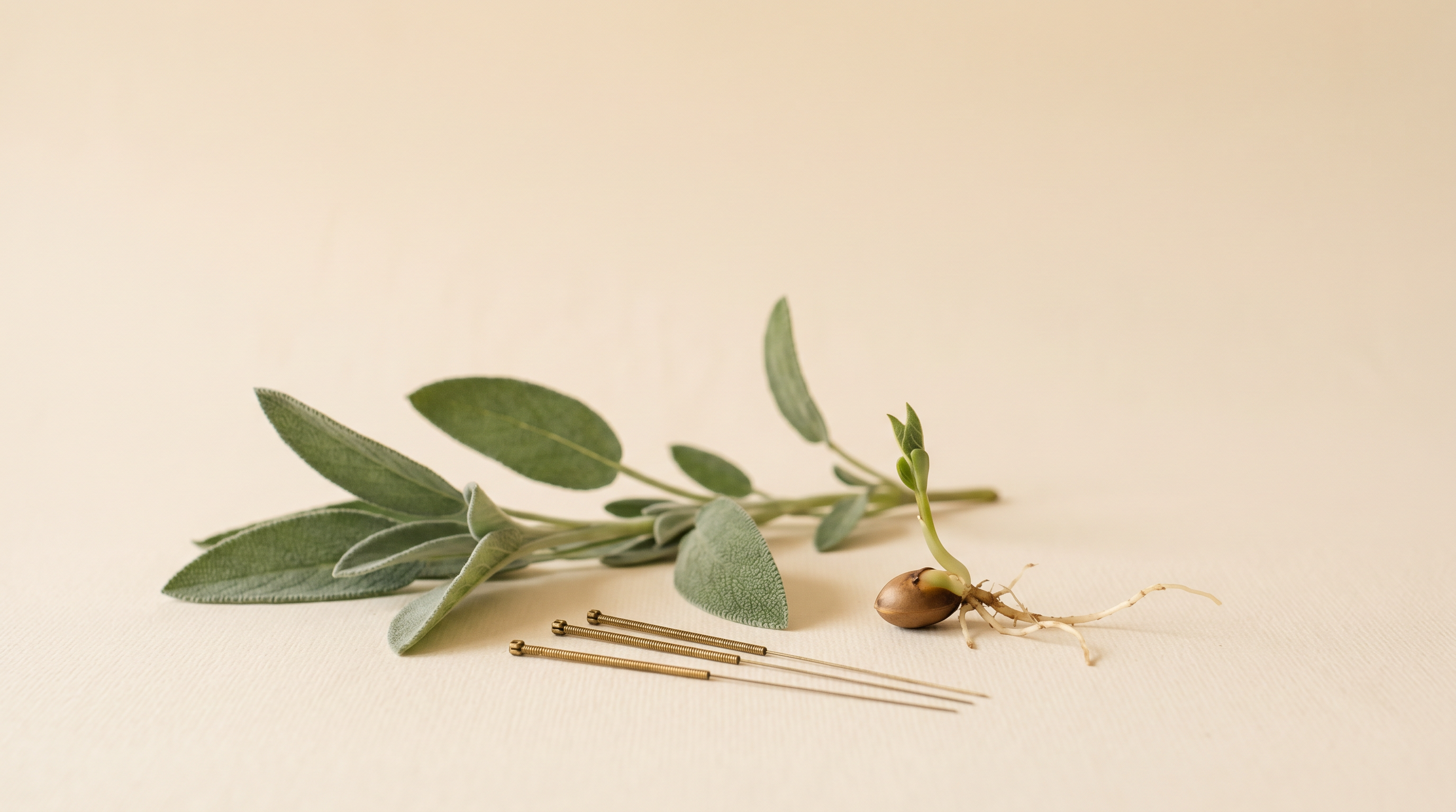 ฝังเข็มช่วยมีลูก: เสริมภาวะเจริญพันธุ์ เพิ่มโอกาสตั้งครรภ์